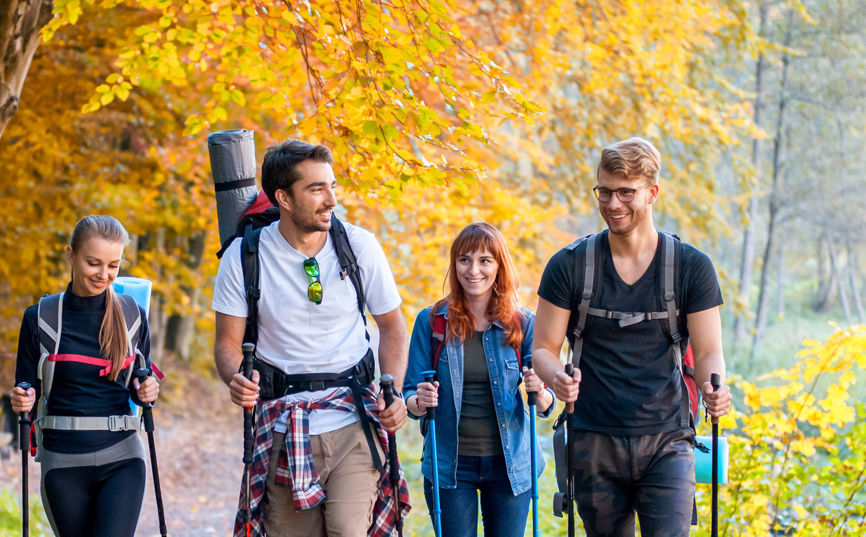 vier Menschen um die 30 Jahre mit Rucksäcken unterwegs im Wald