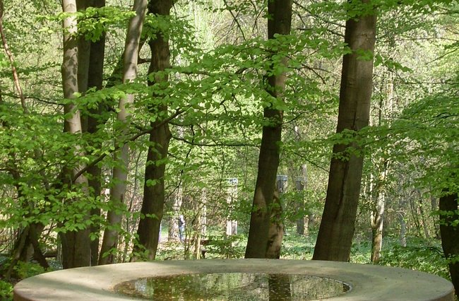 Reisen + Pilgern | Landschaften, Tiere + Pflanzen