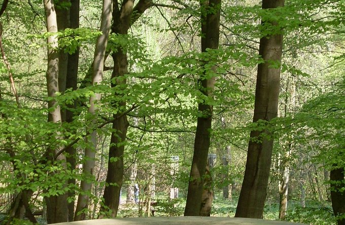 Reisen + Pilgern | Landschaften, Tiere + Pflanzen