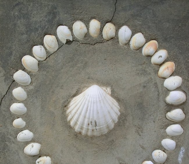 Religion(en) + Theologie | Reisen + Pilgern | Soziale + Religiöse Themen | Landschaften, Tiere + Pflanzen