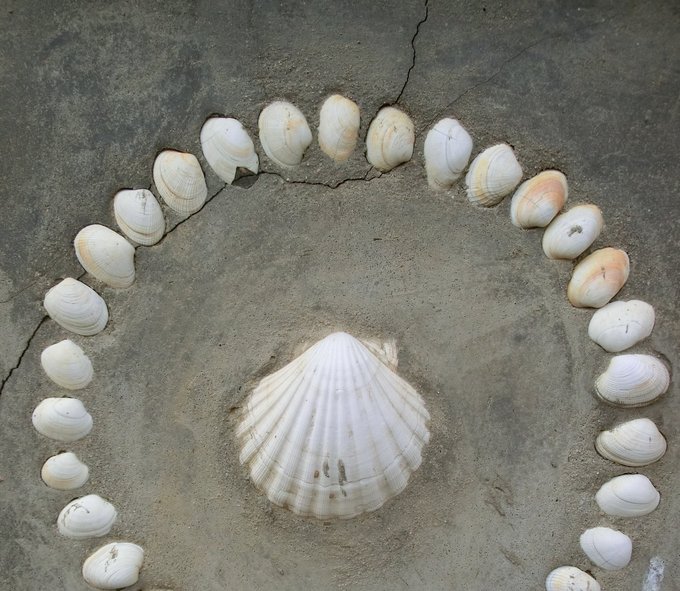 Religion(en) + Theologie | Reisen + Pilgern | Soziale + Religiöse Themen | Landschaften, Tiere + Pflanzen