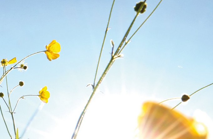 Reisen + Pilgern | Hobbys, Freizeit + Sport | Landschaften, Tiere + Pflanzen