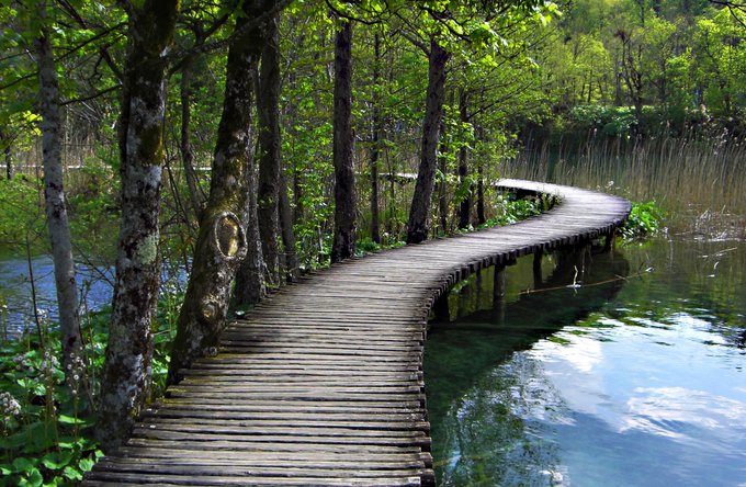 Gesundheit | Reisen + Pilgern | Landschaften, Tiere + Pflanzen