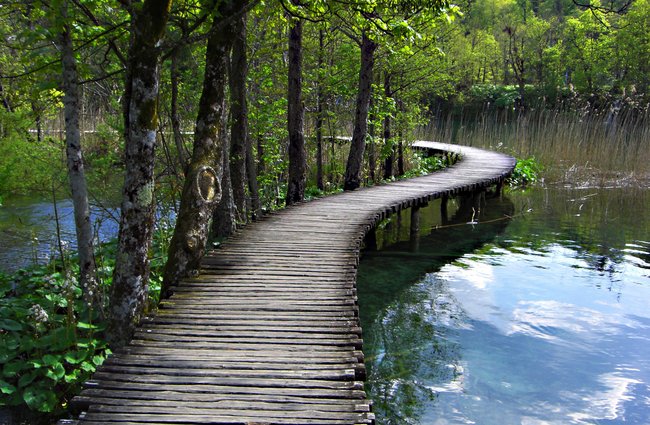 Gesundheit | Reisen + Pilgern | Landschaften, Tiere + Pflanzen