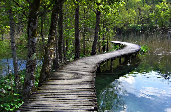 Gesundheit | Reisen + Pilgern | Landschaften, Tiere + Pflanzen