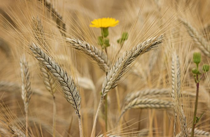 Religion(en) + Theologie | Landschaften, Tiere + Pflanzen