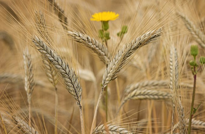 Religion(en) + Theologie | Landschaften, Tiere + Pflanzen