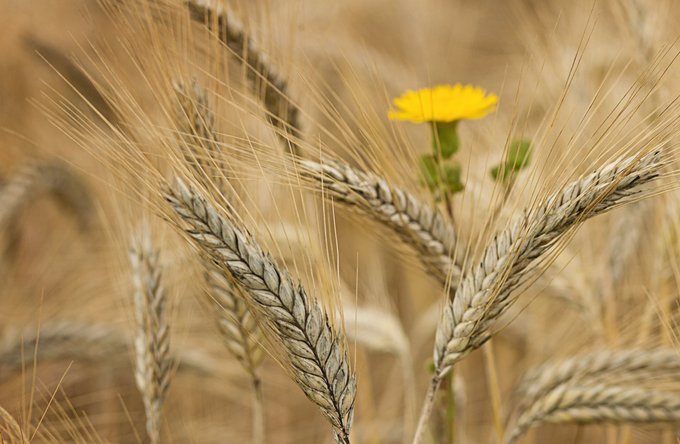 Religion(en) + Theologie | Landschaften, Tiere + Pflanzen