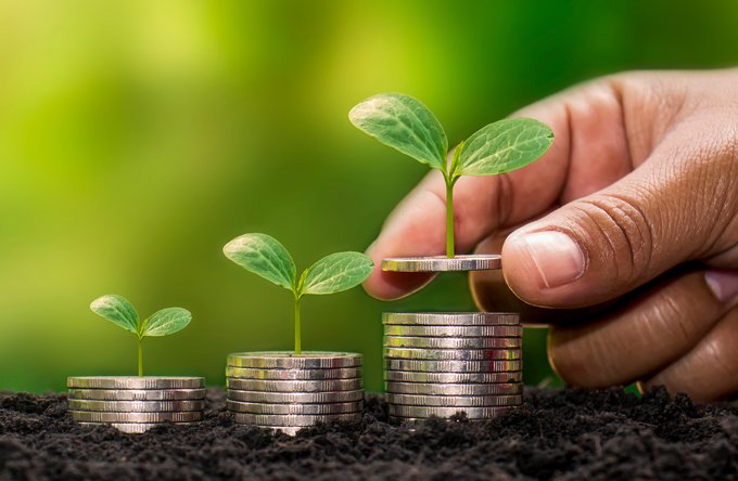 Umwelt + Entwicklung | Religion(en) + Theologie | Landschaften, Tiere + Pflanzen