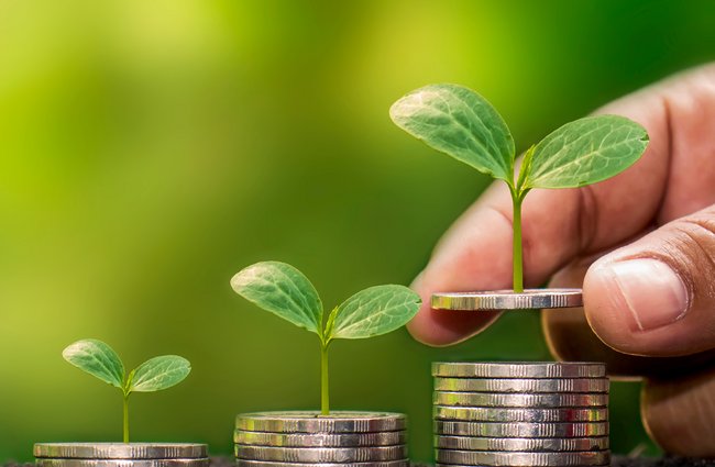 Umwelt + Entwicklung | Religion(en) + Theologie | Landschaften, Tiere + Pflanzen