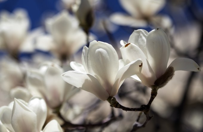 Religion(en) + Theologie | Reisen + Pilgern | Landschaften, Tiere + Pflanzen