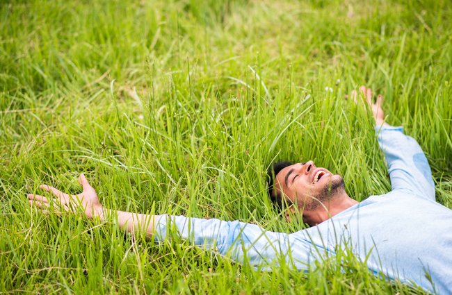 Kultur + Gestalten | Gesundheit | Menschen | Landschaften, Tiere + Pflanzen