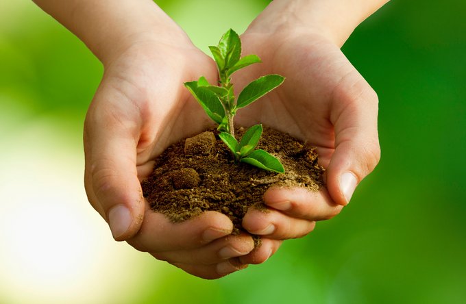 Umwelt + Entwicklung | Landschaften, Tiere + Pflanzen