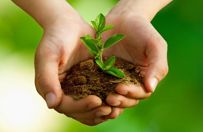 Umwelt + Entwicklung | Kultur + Gestalten | Landschaften, Tiere + Pflanzen