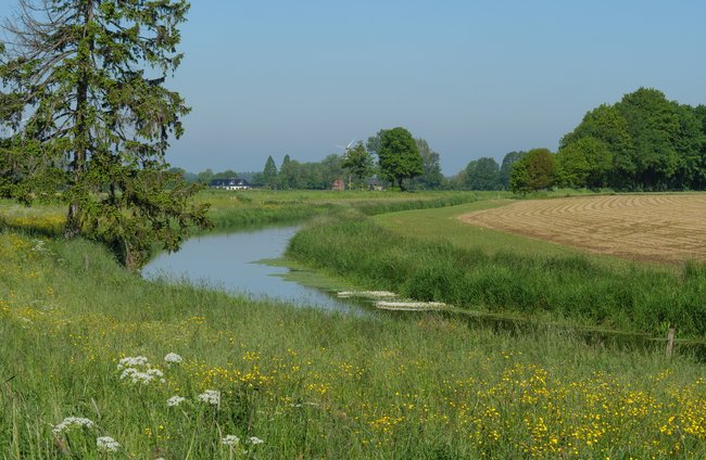 Religion(en) + Theologie | Kultur + Gestalten | Landschaften, Tiere + Pflanzen