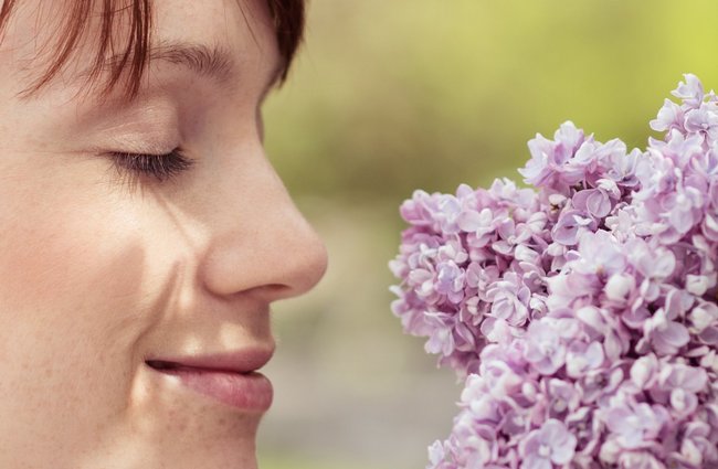 Gesundheit | Reisen + Pilgern | Menschen | Landschaften, Tiere + Pflanzen