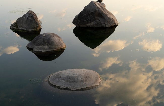 Kultur + Gestalten | Gesundheit | Landschaften, Tiere + Pflanzen