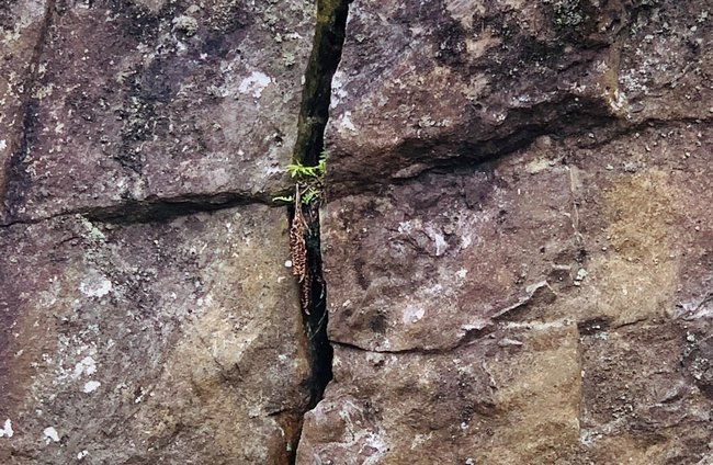 Religion(en) + Theologie | Landschaften, Tiere + Pflanzen