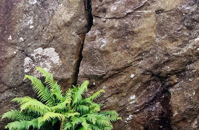 Religion(en) + Theologie | Landschaften, Tiere + Pflanzen