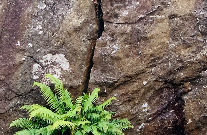 Religion(en) + Theologie | Landschaften, Tiere + Pflanzen