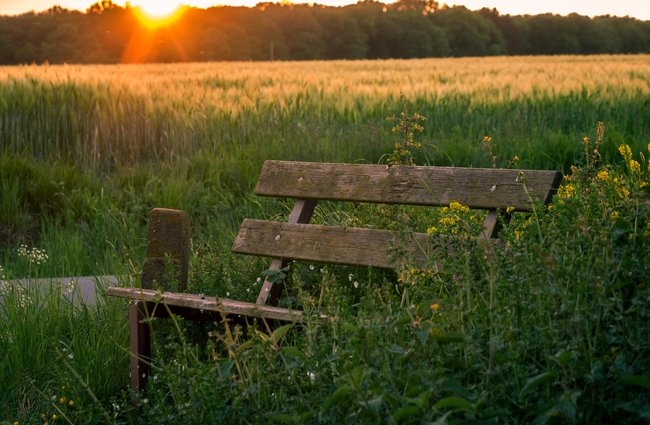 Reisen + Pilgern | Hobbys, Freizeit + Sport | Landschaften, Tiere + Pflanzen