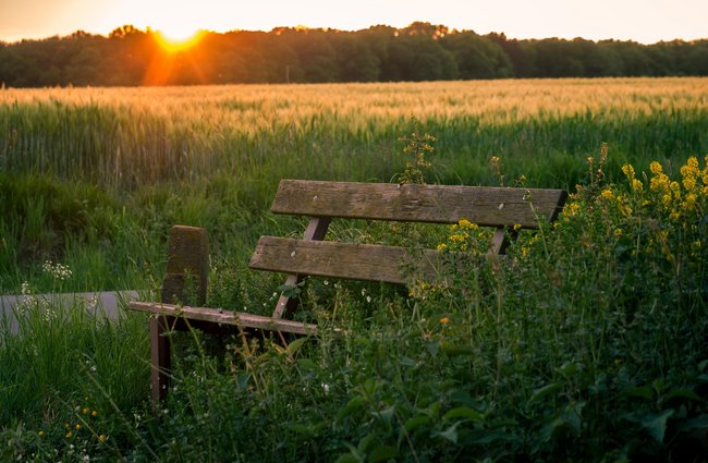 Reisen + Pilgern | Hobbys, Freizeit + Sport | Landschaften, Tiere + Pflanzen
