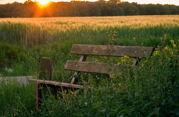 Reisen + Pilgern | Hobbys, Freizeit + Sport | Landschaften, Tiere + Pflanzen