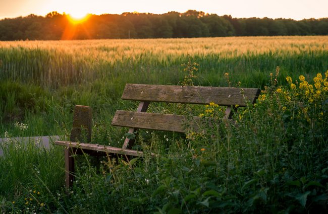 Reisen + Pilgern | Hobbys, Freizeit + Sport | Landschaften, Tiere + Pflanzen
