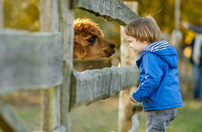 Pädagogik + Erziehung | Menschen