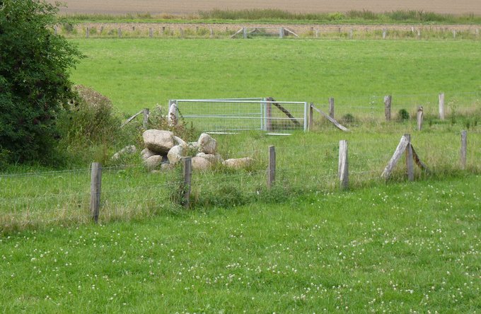 Reisen + Pilgern | Landschaften, Tiere + Pflanzen