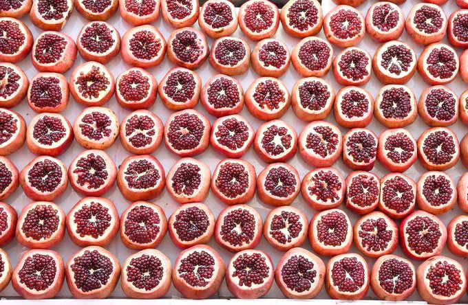 Gesundheit | Reisen + Pilgern | Essen + Getränke | Grafische Elemente + Piktogramme