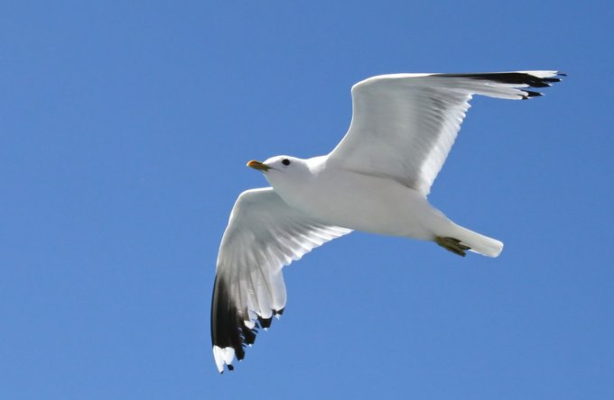 Umwelt + Entwicklung | Gesundheit | Landschaften, Tiere + Pflanzen