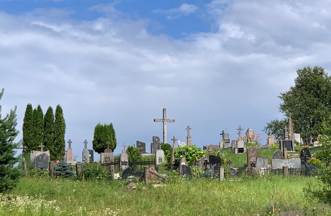 Religion(en) + Theologie | Landschaften, Tiere + Pflanzen