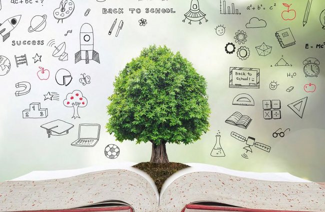 Politik + Gesellschaft | Umwelt + Entwicklung