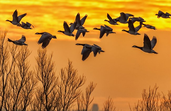 Beruf + Arbeit | Landschaften, Tiere + Pflanzen