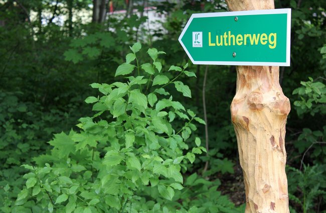 Religion(en) + Theologie | Reisen + Pilgern | Soziale + Religiöse Themen | Transport + Verkehr