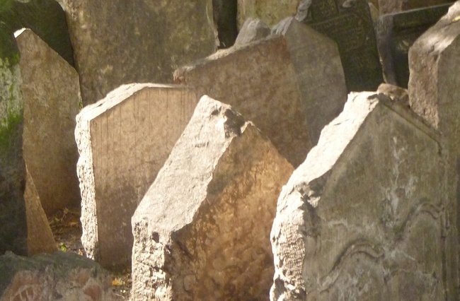 Politik + Gesellschaft | Religion(en) + Theologie | Soziale + Religiöse Themen