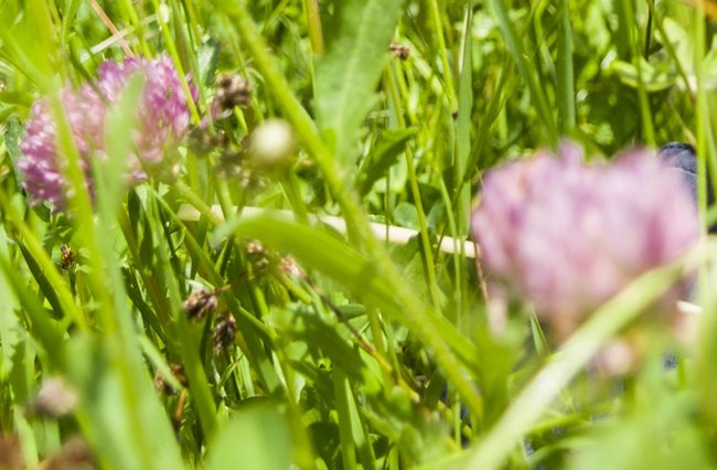 Pädagogik + Erziehung | Gesundheit | Menschen | Hobbys, Freizeit + Sport