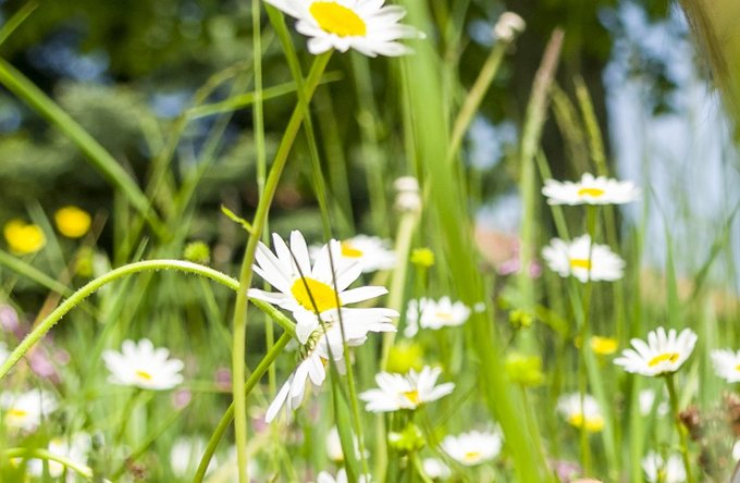 Pädagogik + Erziehung | Gesundheit | Menschen | Hobbys, Freizeit + Sport