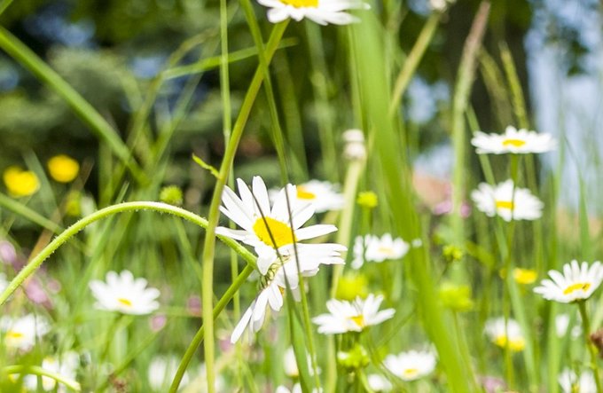 Pädagogik + Erziehung | Gesundheit | Menschen | Hobbys, Freizeit + Sport