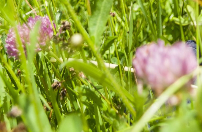Pädagogik + Erziehung | Gesundheit | Menschen | Hobbys, Freizeit + Sport