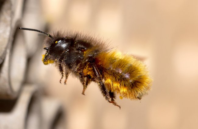 Umwelt + Entwicklung | Kultur + Gestalten | Landschaften, Tiere + Pflanzen