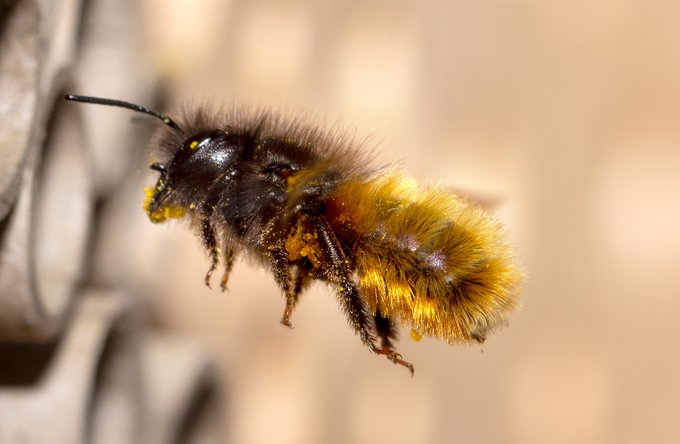 Umwelt + Entwicklung | Kultur + Gestalten | Landschaften, Tiere + Pflanzen