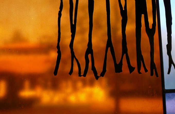 Religion(en) + Theologie | Soziale + Religiöse Themen