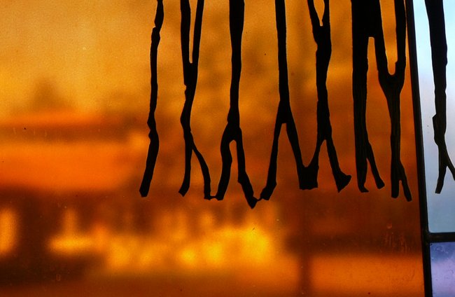 Religion(en) + Theologie | Soziale + Religiöse Themen