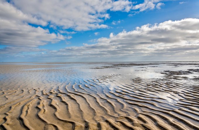 Umwelt + Entwicklung | Landschaften, Tiere + Pflanzen