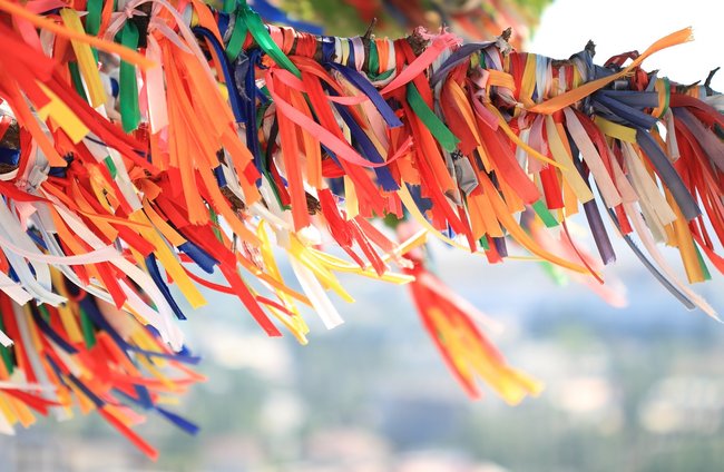 Kultur + Gestalten | Reisen + Pilgern | Landschaften, Tiere + Pflanzen