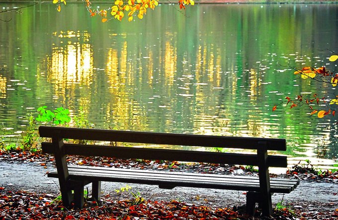 Gesundheit | Landschaften, Tiere + Pflanzen