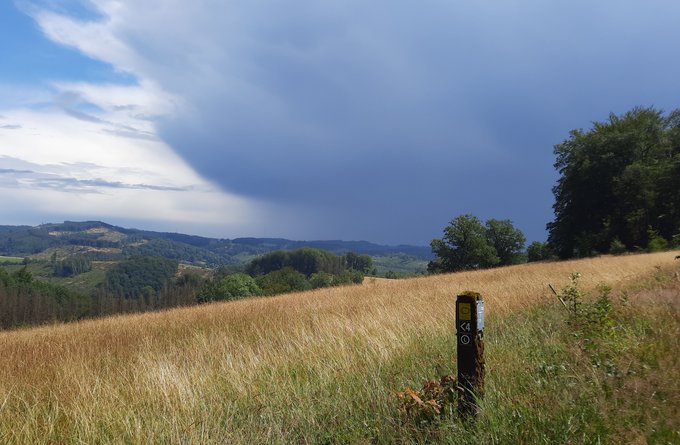 Reisen + Pilgern | Landschaften, Tiere + Pflanzen