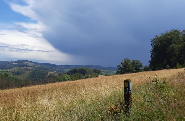 Reisen + Pilgern | Landschaften, Tiere + Pflanzen